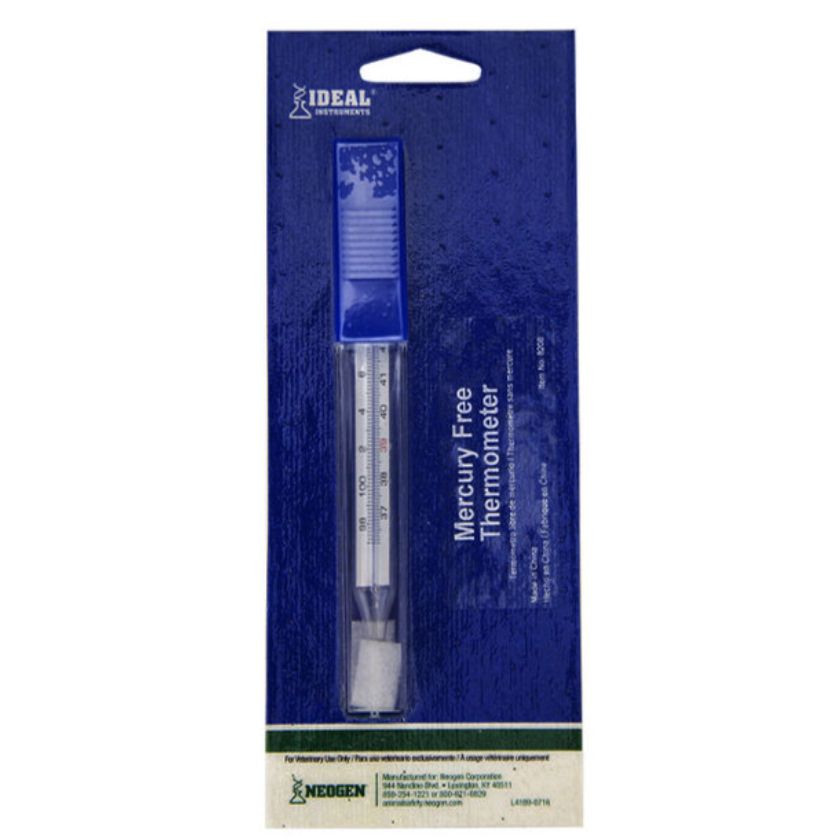 Non Mercury Thermometer